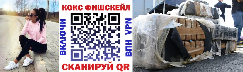 где купить наркоту  ОМГ ОМГ   Cocaine VHQ  Жиздра 