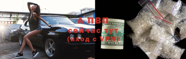 гидропоника Алзамай
