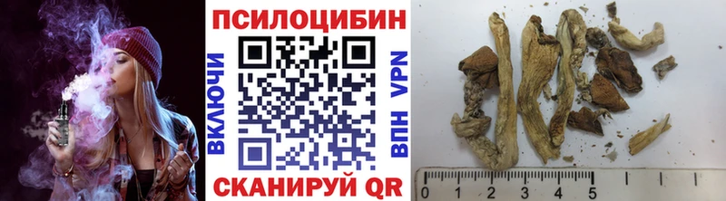 omg сайт  Жиздра  дарк нет как зайти  продажа наркотиков  Галлюциногенные грибы прущие грибы 