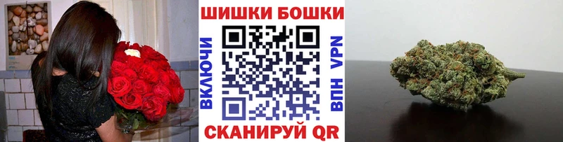 Бошки Шишки конопля Жиздра